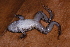  ( - AF5954)  @11 [ ] Unspecified (default): All Rights Reserved  Unspecified Unspecified