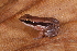 ( - AF5961)  @11 [ ] Unspecified (default): All Rights Reserved  Unspecified Unspecified