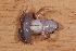  ( - AF5961)  @11 [ ] Unspecified (default): All Rights Reserved  Unspecified Unspecified