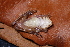  ( - AF5989)  @11 [ ] Unspecified (default): All Rights Reserved  Unspecified Unspecified