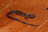  ( - AF5997)  @11 [ ] Unspecified (default): All Rights Reserved  Unspecified Unspecified