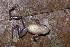  ( - AF6018)  @11 [ ] Unspecified (default): All Rights Reserved  Unspecified Unspecified