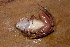  ( - AF6021)  @11 [ ] Unspecified (default): All Rights Reserved  Unspecified Unspecified