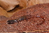  ( - AF6025)  @11 [ ] Unspecified (default): All Rights Reserved  Unspecified Unspecified