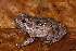  ( - AF6051)  @11 [ ] Unspecified (default): All Rights Reserved  Unspecified Unspecified