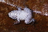  ( - AF6051)  @11 [ ] Unspecified (default): All Rights Reserved  Unspecified Unspecified