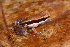  ( - AF6056)  @11 [ ] Unspecified (default): All Rights Reserved  Unspecified Unspecified