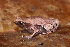  ( - AF6061)  @11 [ ] Unspecified (default): All Rights Reserved  Unspecified Unspecified