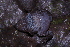  ( - AF6061)  @11 [ ] Unspecified (default): All Rights Reserved  Unspecified Unspecified