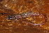  ( - AF6067)  @11 [ ] Unspecified (default): All Rights Reserved  Unspecified Unspecified