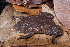  (Pipa - AF6071)  @11 [ ] Unspecified (default): All Rights Reserved  Unspecified Unspecified