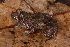  ( - AF6077)  @11 [ ] Unspecified (default): All Rights Reserved  Unspecified Unspecified