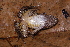  ( - AF6077)  @11 [ ] Unspecified (default): All Rights Reserved  Unspecified Unspecified