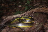  ( - AF6083)  @11 [ ] Unspecified (default): All Rights Reserved  Unspecified Unspecified