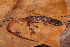  ( - AF6102)  @11 [ ] Unspecified (default): All Rights Reserved  Unspecified Unspecified