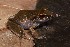  ( - AF6124)  @11 [ ] Unspecified (default): All Rights Reserved  Unspecified Unspecified