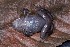  ( - AF6124)  @11 [ ] Unspecified (default): All Rights Reserved  Unspecified Unspecified