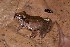  ( - AF6125)  @11 [ ] Unspecified (default): All Rights Reserved  Unspecified Unspecified