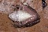  ( - AF6125)  @11 [ ] Unspecified (default): All Rights Reserved  Unspecified Unspecified