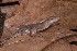  ( - AF6130)  @11 [ ] Unspecified (default): All Rights Reserved  Unspecified Unspecified