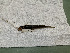  ( - FMNH153320)  @11 [ ] Unspecified (default): All Rights Reserved  Unspecified Unspecified