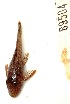  ( - FMNH153111.1)  @11 [ ] Unspecified (default): All Rights Reserved  Unspecified Unspecified