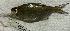  ( - FMNH153222)  @11 [ ] Unspecified (default): All Rights Reserved  Unspecified Unspecified