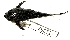  ( - FMNH153257.3)  @11 [ ] Unspecified (default): All Rights Reserved  Unspecified Unspecified