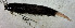  ( - FMNH153245.1)  @11 [ ] Unspecified (default): All Rights Reserved  Unspecified Unspecified