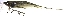 ( - FMNH153246.5)  @11 [ ] Unspecified (default): All Rights Reserved  Unspecified Unspecified
