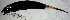  ( - FMNH153245.3)  @11 [ ] Unspecified (default): All Rights Reserved  Unspecified Unspecified
