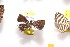  ( - NPML_bcR603)  @11 [ ] Copyright (c) (2021) Nino Page private
