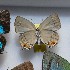 ( - NPML_lyc399)  @11 [ ] Copyright (c) (2025) Maeva Leroy Unspecified