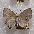  ( - NPML_lyc402)  @11 [ ] Copyright (c) (2025) Maeva Leroy Unspecified