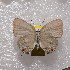  ( - NPML_lyc409)  @11 [ ] Copyright (c) (2025) Maeva Leroy Unspecified