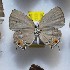  ( - NPML_lyc421)  @11 [ ] Copyright (c) (2025) Maeva Leroy Unspecified