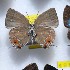  ( - NPML_lyc422)  @11 [ ] Copyright (c) (2025) Maeva Leroy Unspecified