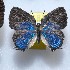  ( - NPML_lyc442)  @11 [ ] Copyright (c) (2025) Maeva Leroy Unspecified