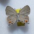  ( - NPML_lyc448)  @11 [ ] Copyright (c) (2025) Maeva Leroy Unspecified