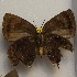  ( - NPML_lyc472)  @11 [ ] Copyright (c) (2025) Maeva Leroy Unspecified