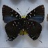  ( - NPML_lyc474)  @11 [ ] Copyright (c) (2025) Maeva Leroy Unspecified