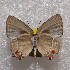  ( - NPML_lyc495)  @11 [ ] Copyright (c) (2025) Maeva Leroy Unspecified