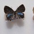  ( - NPML_lyc534)  @11 [ ] Copyright (c) (2025) Maeva Leroy Unspecified