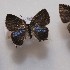  ( - NPML_lyc536)  @11 [ ] Copyright (c) (2025) Maeva Leroy Unspecified