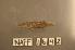  ( - NAFF 1642)  @12 [ ] Unspecified (default): All Rights Reserved  Unspecified Unspecified