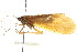  ( - 10RMCAD-018)  @11 [ ] CreativeCommons - Attribution (2010) CBG Photography Group Centre for Biodiversity Genomics