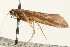  ( - 08RMCAD-0146)  @11 [ ] CreativeCommons - Attribution (2010) Unspecified Centre for Biodiversity Genomics