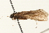  ( - 08RMCAD-0171)  @11 [ ] CreativeCommons - Attribution (2010) Unspecified Centre for Biodiversity Genomics