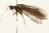  ( - 08RMCAD-0256)  @11 [ ] CreativeCommons - Attribution (2010) Unspecified Centre for Biodiversity Genomics