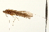  ( - 08RMCAD-0307)  @12 [ ] CreativeCommons - Attribution (2010) Unspecified Centre for Biodiversity Genomics